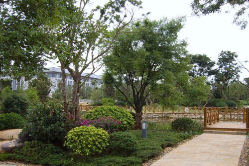 中国风景园林网 景观工程 杭州园林绿化